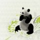pandamania