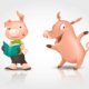 pigs