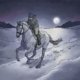 1194823067 pakkasyo by hipis