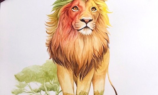 Lion watercolour illustration - kuvittaja