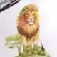 Lion watercolour illustration - kuvittaja