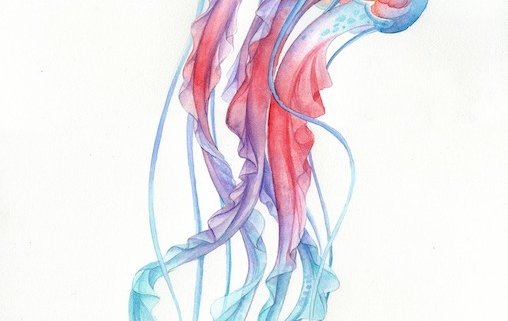 medusa watercolour illustration kuvittaja