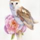 owl watercolour illustration kuvittaja