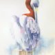 pelican watercolour illustration kuvittaja